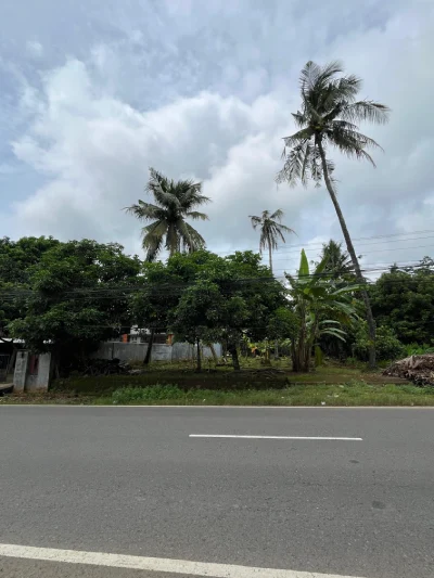 Tanah Luas 770 m2 Jln.provinsi mlongggo jepara